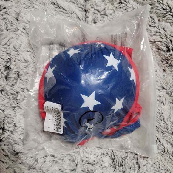 American Flag Bikini - Picture 5 of 5